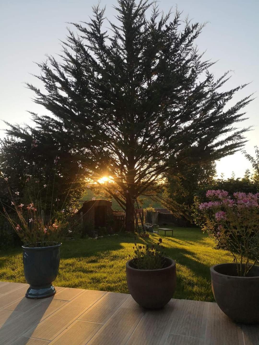 Au Coeur De Mortagne, Un Balcon Sur Le Perche Villa Kültér fotó